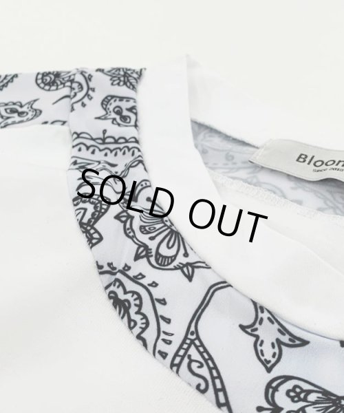 画像11: ペイズリーセットアップ (11)