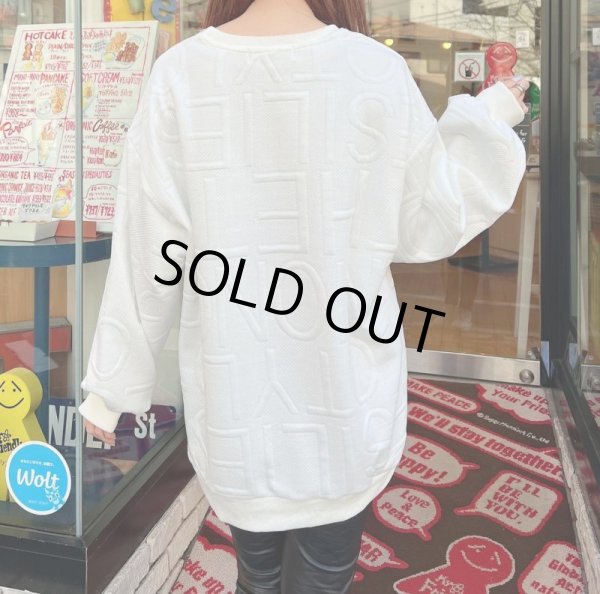 画像8: デザインロゴトレーナー (8)