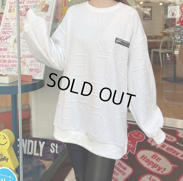 画像7: デザインロゴトレーナー (7)