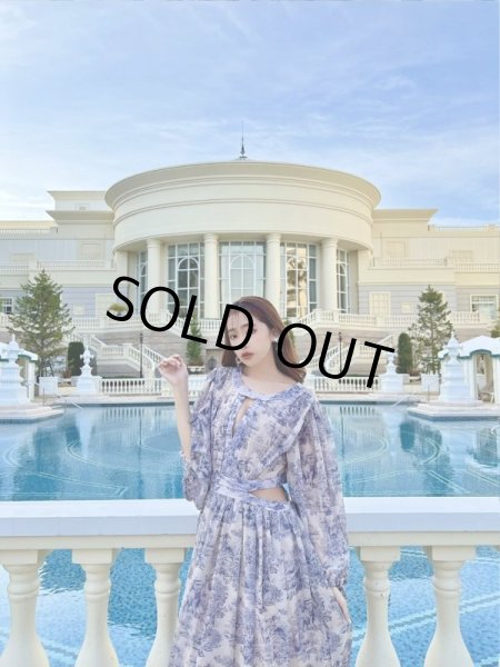 画像4: ボタニカルワンピース (4)