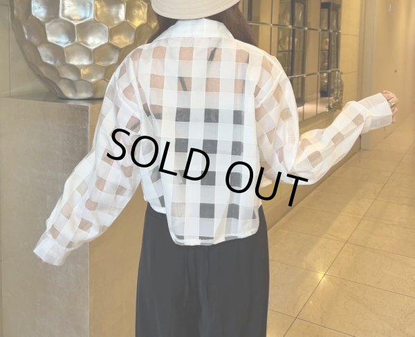 画像10: シースルーデザインシャツ (10)