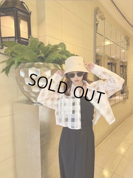 画像4: シースルーデザインシャツ (4)
