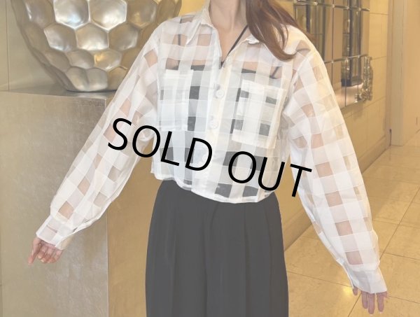 画像9: シースルーデザインシャツ (9)