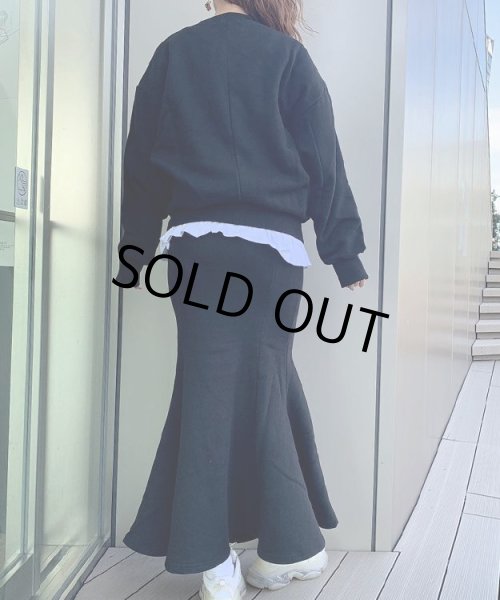 画像5: マーメイドセットアップ (5)